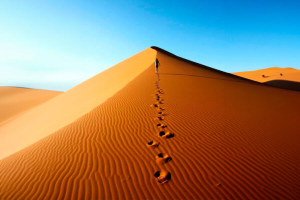 7 Day Morocco Sahara Desert Tour From Tangier